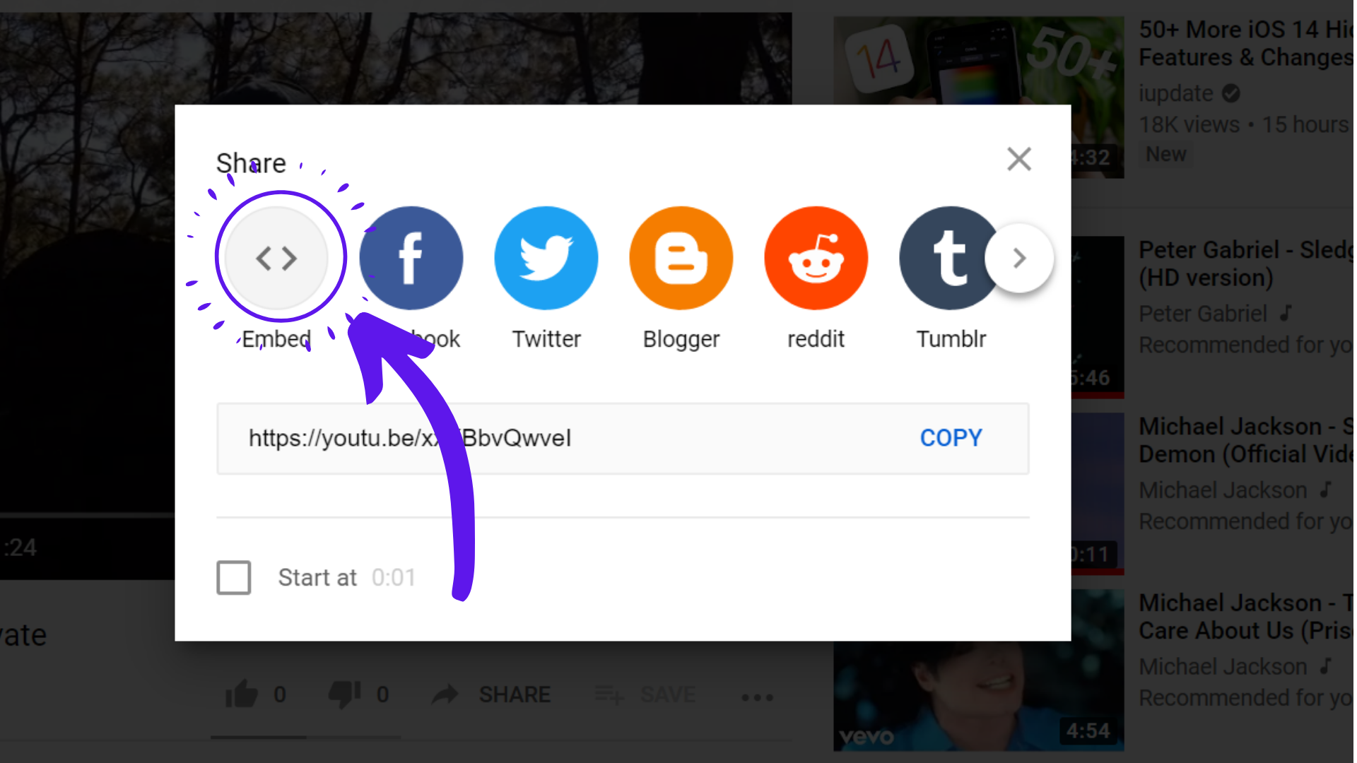 29.png