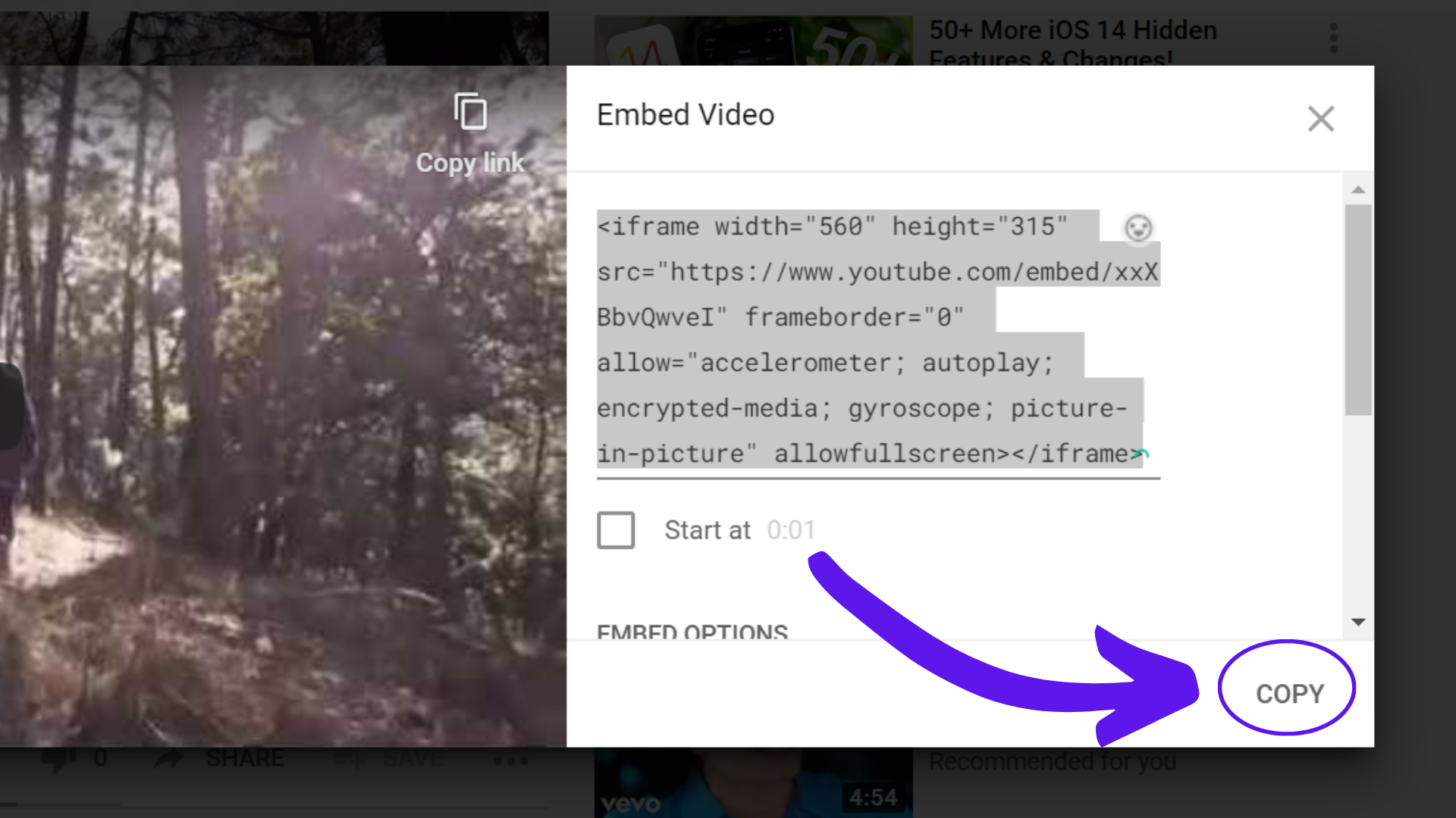 30.png